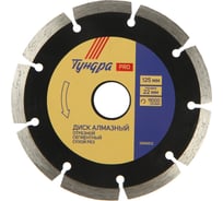 Диск алмазный отрезной PRO, повышенный ресурс, сегментный, сухой рез, 125x22 мм ТУНДРА 2966612