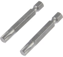 Биты намагниченные, сталь S2, T40x50 мм, 2 шт ТУНДРА 7338380