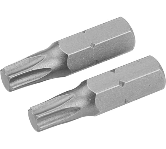 Набор вставок бит торцевых 1/4", Torx, T10, 25 мм, 2 шт TOLSEN 20221