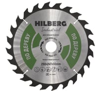 Диск пильный Hilberg Industrial Дерево 250x30x24Т HW250