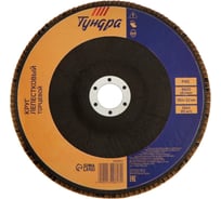 Круг лепестковый торцевой 180x22 мм, Р40 ТУНДРА 1300813