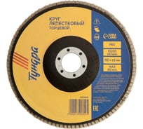 Круг лепестковый торцевой 150x22 мм, Р60 ТУНДРА 1300809