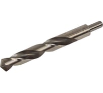 Сверло с ц/х удлиненное 22х200 мм, Р6М5 Резолюкс 24922 30122618