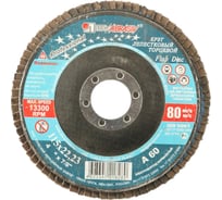 Круг лепестковый торцевой абразивный (115x22,23 мм, зерно P60) Luga-Abrasiv 3656-115-25