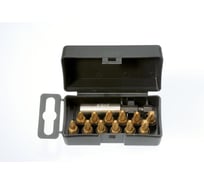 Набор бит PZ/PH TiN с держателем бит в кейсе, 13 шт. Felo 02291076