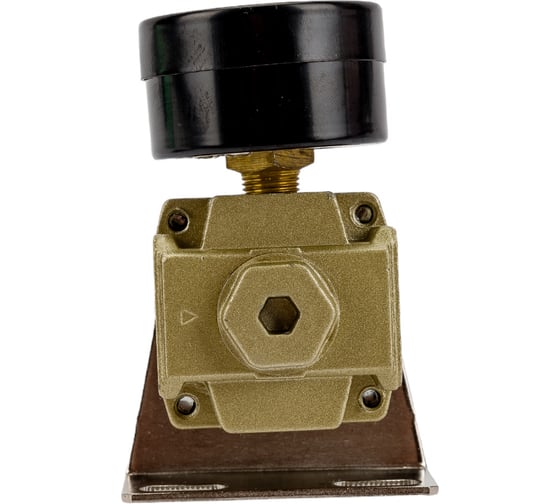 Регулятор давления воздуха 1/4" ЭВРИКА ER-AR2000-02