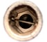 Держатель вставок 1/4"F Dr - 1/4"F HEX с магнитом KRAFT KT 700634 4