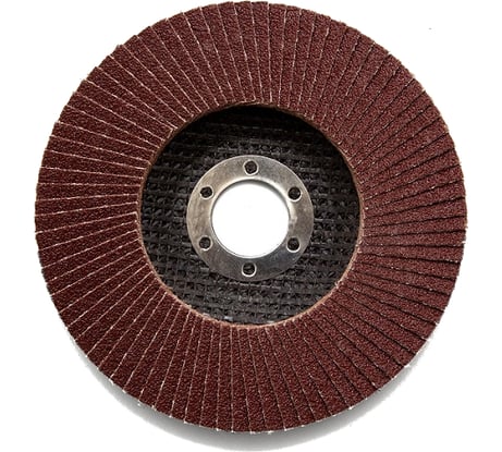 Круг лепестковый торцевой (115х22.23 мм; Р100) REDVERG 6624172