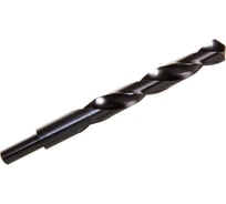 Сверло по металлу HSS-G PRO (2 шт; 19х135х198 мм; хвостовик 13 мм) Diager 726D19