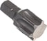 Бита TORX T60, 5/16" AIST 1223660T 00-00000259 1