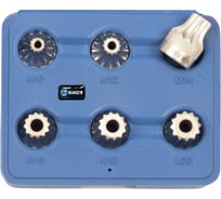 Набор головок-битов 12-лучевых с отверстием под штифт 6 шт. AIST 406806M 00-00015083