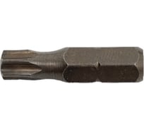 Биты ударные T-образные ТХ30, 25 мм, 20 шт RAWLPLUG RT-IBIT-T30/25