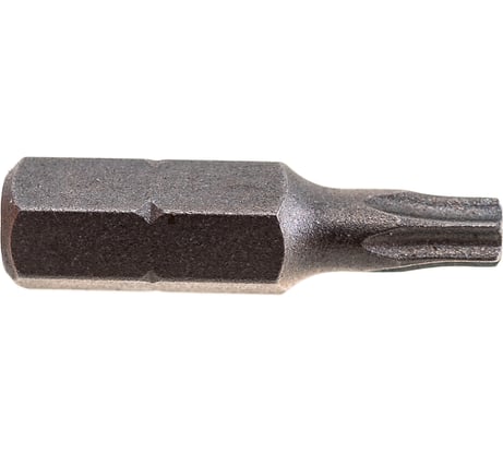 Бита Torx Tamper ТТ20, 25 мм, 2 шт. REDVERG 6623497
