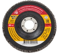 Круг лепестковый торцевой (125х22.2 мм; К40) Энкор 55195