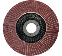 Круг лепестковый торцевой (125х22.2 мм; К60) Энкор 55196