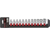 Набор головок Е-профиль 3/8" DR 12 предметов (Е4, 5, 6, 7, 8, 10, 11, 12, 14, 16, 18, 20 на планке) FORCE 3127