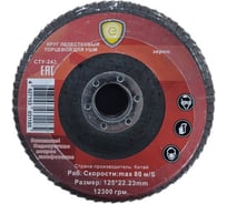 Круг лепестковый торцевой эконом Strong 125 100 сту-243125100