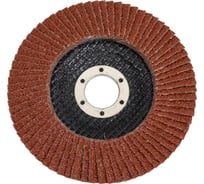 Диск лепестковый торцевой (125х22 мм; P40) ROCKFORCE RF-FD540M(29637)