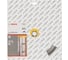 Алмазный диск Expert for Universal Turbo (300х25.4 мм) Bosch 2608603817 2