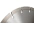 Диск алмазный стд-112 SEGMENT 250x32/25.4x2.5x10 мм Strong стд-11201250 4