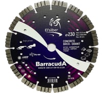 Диск алмазный BarracudA 1A1RSS/W D230-2.4T-12W-10S-22.23H Elsilber EL-RY0701Bs