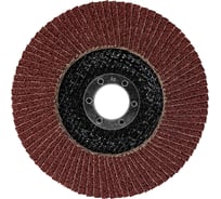 Круг лепестковый торцевой (125х22.2 мм; Р120) Vertextools 12600-120