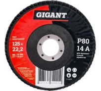 Круг лепестковый (125x22.2 мм; P80) Gigant G-11037