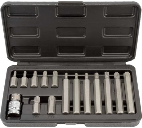 Набор бит TORX с отверстием 15 шт. TORX с отверстием АвтоDело 40644 10253