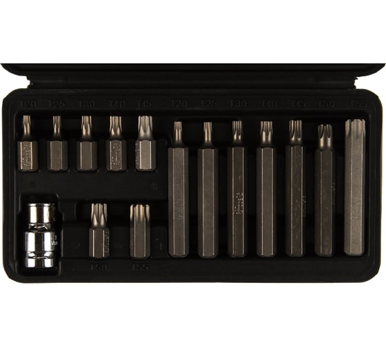 Набор бит TORX с отверстием 15 шт. TORX с отверстием АвтоDело 40644 10253