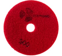 Алмазный гибкий шлифовальный круг TRIO-DIAMOND "Черепашка" PRO LINE 100 мм № 500 (сухая шлифовка) 360500