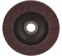 Круг лепестковый торцевой KK10XW КЛТ1 (150х22 мм; P40) БАЗ 960000014608