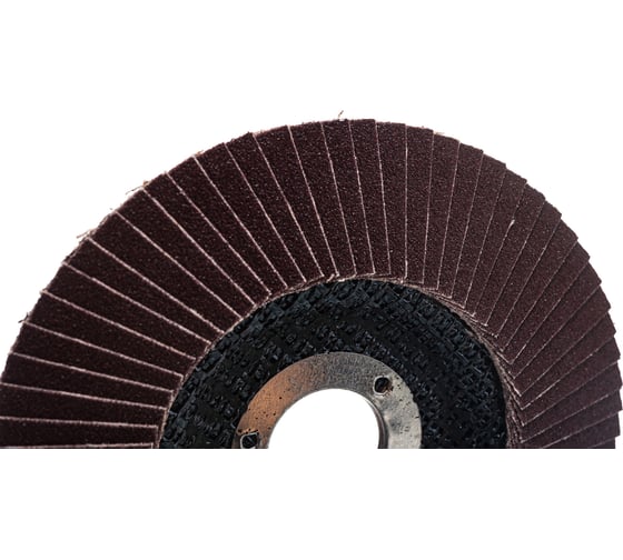 Круг лепестковый торцевой KK19XW КЛТ1 (125х22 мм; P80) БАЗ 960000026079