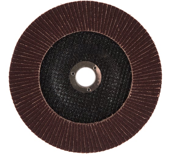 Круг лепестковый торцевой KK19XW КЛТ1 (180х22 мм; P60) БАЗ 960000026098