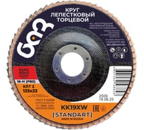 Круг лепестковый торцевой KK19XW КЛТ2 (125х22 мм; P80) БАЗ 960000026697