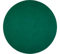 Диск абразивный с липучкой DTC-Film (green) 150 мм, 0 отверстий, P120, 5 шт BRUSHTEX 150G0-120