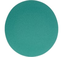 Диск абразивный с липучкой DTC-Film (green) 150 мм, 0 отверстий, P120, 5 шт BRUSHTEX 150G0-120