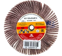 Круг лепестковый KK19XW (125х20 мм; М14; 16Н; Р80) БАЗ 960000061706