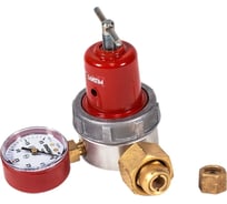 Сетевой пропановый редуктор СПО-6 REDIUS 02305