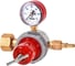Сетевой пропановый редуктор СПО-6 REDIUS 02305 3