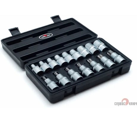Набор головок внутренних и насадок TORX (16 пр; Е10-Е24; Т30-Т70) СЕРВИС КЛЮЧ 76650