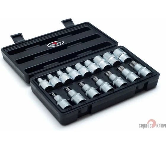 Набор головок внутренних и насадок TORX (16 пр; Е10-Е24; Т30-Т70) СЕРВИС КЛЮЧ 76650 1