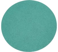 Диск абразивный с липучкой DTC-Film (green) 150 мм, 0 отверстий, P60, 5 шт BRUSHTEX 150G0-60