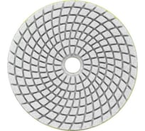 Алмазный гибкий шлифовальный круг (черепашка) DIA 100 мм, P3000, мокрое шлифование Pobedit 2056300