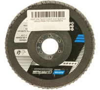 Диск лепестковый Quantum (125x22, P60) NORTON 66254445879