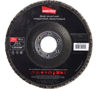 Диск лепестковый наждачный зачистной 125х22 мм, P80, 10 шт Smartbuy SBT-DP-125-80