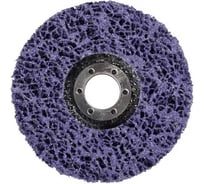 Диск зачистной полимерный CNS 22.2 мм, 125 мм, фиолетовый FIT 39614