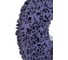 Круг нейлоновый для удаления краски и ржавчины PURPLE 125х22 мм Pobedit 2054327 4