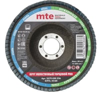 Круг лепестковый торцевой КЛТ2 PRO 125x22 мм, zc60 MTE 2579430326
