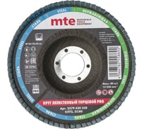 Круг лепестковый торцевой КЛТ2 PRO 125x22 мм, zc80 MTE 2579430328