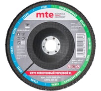 Круг лепестковый торцевой КЛТ2 RL 180x22 мм, NC40 MTE 2579580374